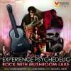 Events in Chennai, Experience Psychedelic Rock, Mushroom Lake, 2 March 2014, Phoenix Marketcity, Velachery, 6.30.pm onwards